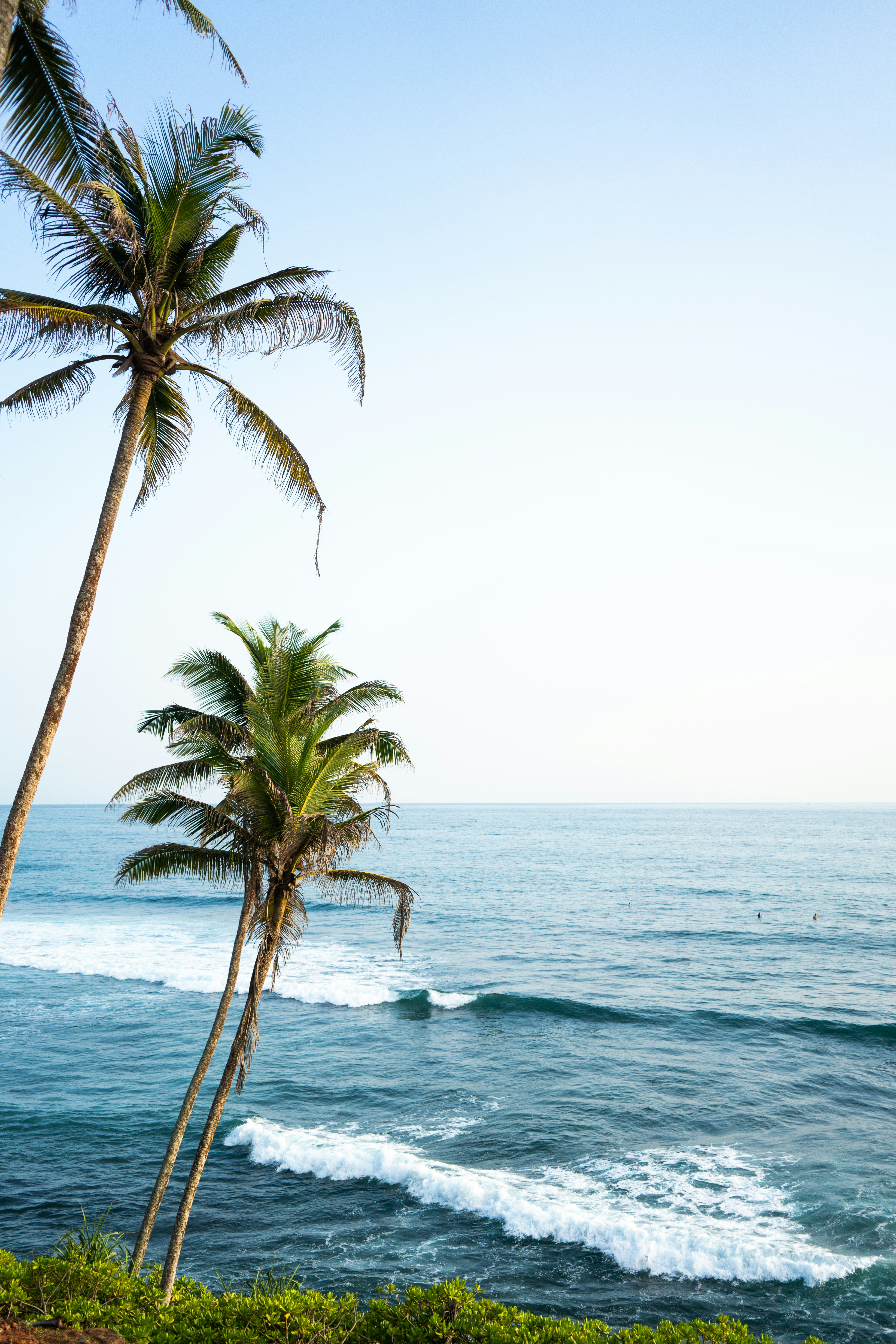 ocean waves on island with trees